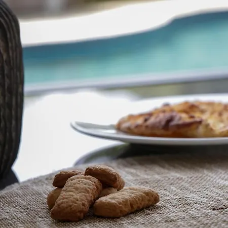 别墅 阿雷纳别墅 维琪奥港